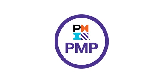 PMP_cover_image-min.jpg